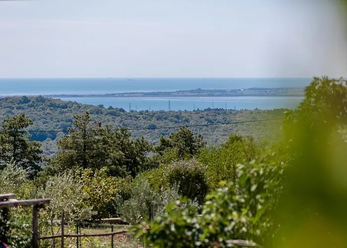 Sistiana Kostanjevica na Krasu